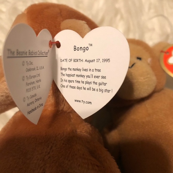 RARE Bongo Ty 1995 Errors, Beanie Babies Mint. Condition - Picture 3 of 10